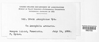Image Associated With the Occurence